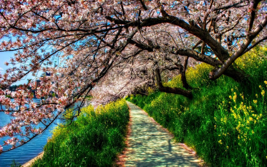 1747570 (a): :1920x1200
